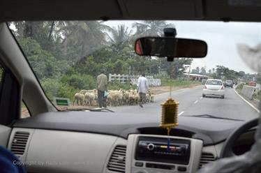 On Route to Srirangapatna,_DSC4544_H600